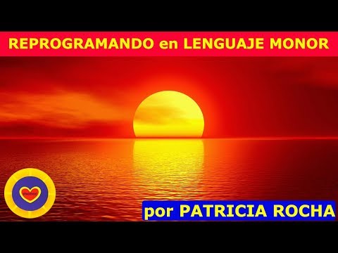 REPROGRAMANDO en LENGUAJE MONOR por PATRICIA ROCHA