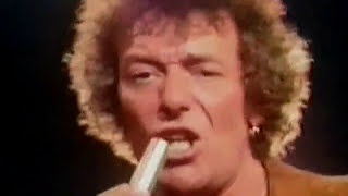 THE HOLLIES- &quot;BOULDER TO BIRMINGHAM&quot; (LYRICS)