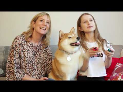 Little Friends: Dogs & Cats - Welcome Home Trailer