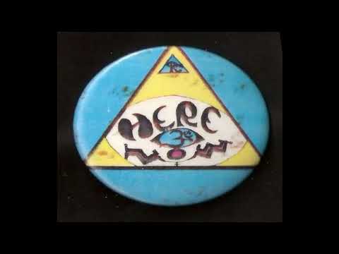 Here & Now - Pothead Punks (1977-1991)