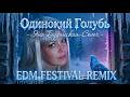 Одинокий Голубь Кавер на Я Будянская EDM Festival Remix 2026 Remix Fy