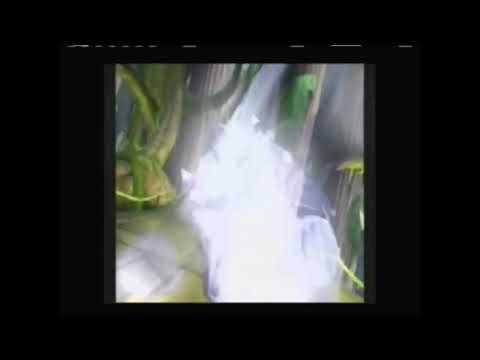 [Kameo: Elements of Power] - Singing Ghost Troll - [Cutscene]