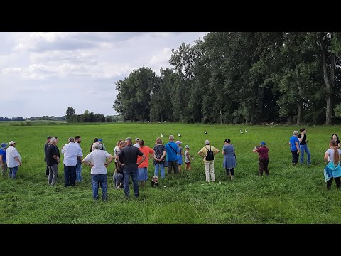 Auswilderung 22.08.2023