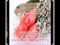 Доброе утро всем! 