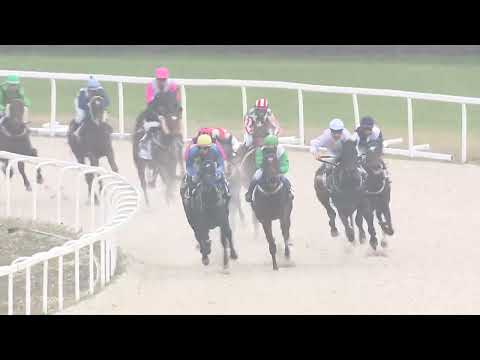 2022.11.27. 05. futam - NYERETLEN KÉTÉVESEK VERSENYE (IV.kat.) I.rész (szintetikus pálya)