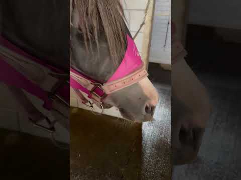 Play video on YouTube