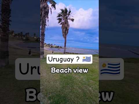 You won't believe how peaceful Montevideo is at night 🇺🇾 #shorts  #montevideo #Uruguay #myprimetimes