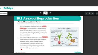 Asexual reproduction.