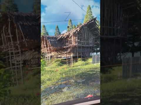 New Loop Animation Beautiful Materials