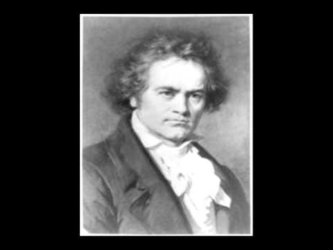 Symphony No. 9 in D minor ('Choral') Op. 125 - Molto vivace