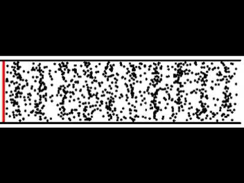 Longitudinal Wave Animation Animation