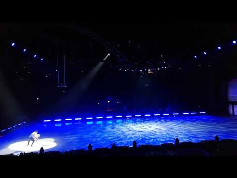 Savchenko Massot Holiday on ice 29.12.2018 La terre vue du ciel