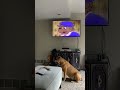 Opening To Bear In The Big Blue House Storytelling With Bear 2000 VHS