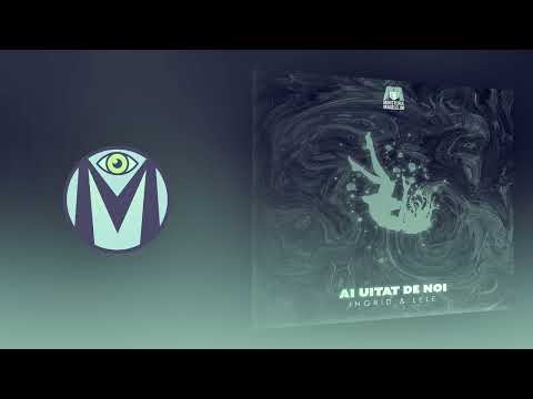 INGRID x Lele - Ai uitat de noi (SLOWED)