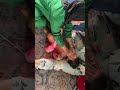 Anaku Senang Banget Di Pijat Sama Tante Pijat Massage Buat Bayi Alhamdulillah