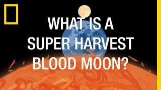 What Causes a Super Harvest Blood Moon? | National Geographic