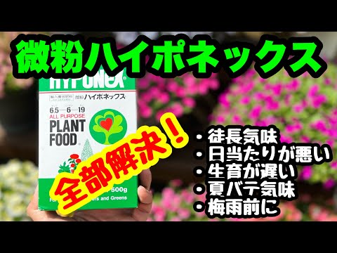園芸 花を構成するさまざまな器官を認識する