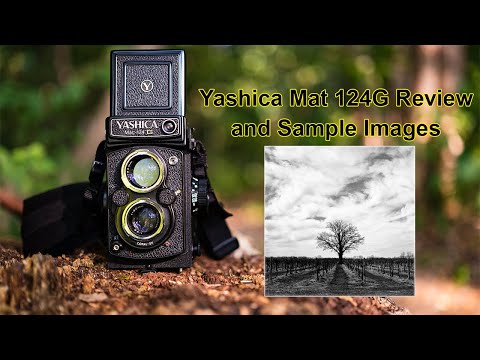 Yashica Mat 124G Review and Sample Images