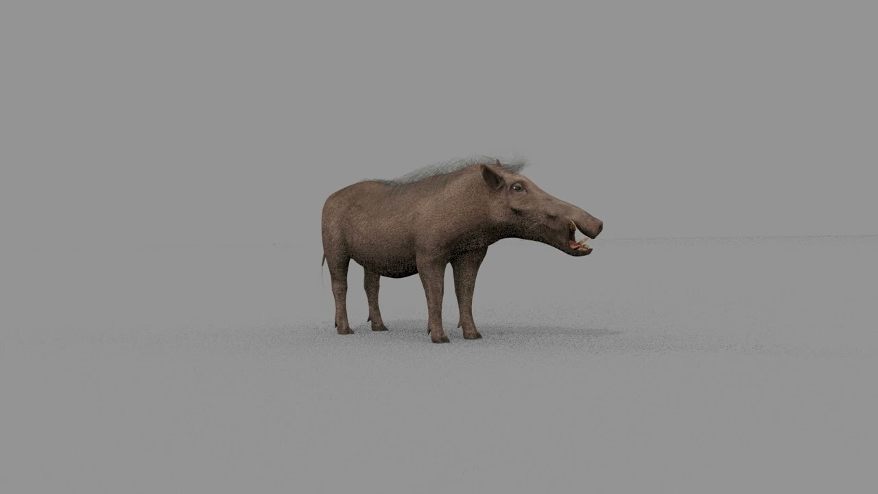 Warthog African pig - animated 3d fur model 3D Model