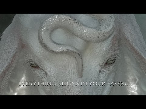 ╭ everything aligns in your favor 𖤓 your daily subliminal ╮