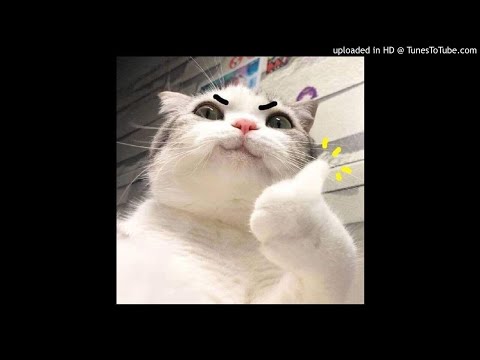 free glaive x ericdoa x sebbi type beat (hyperpoop)