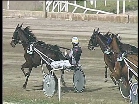 Trotto 24/03/2017 - 1ª corsa