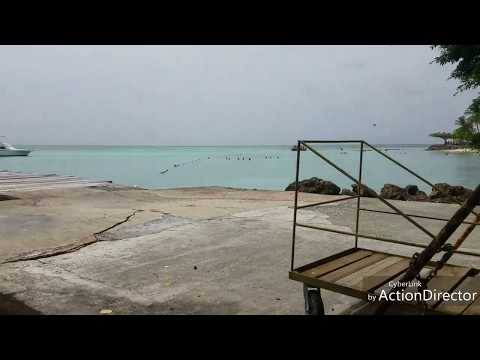 Tobago lime:Nailah Blackman Sokah