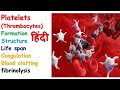 Platelets physiology in hindi || formation || homeostasis || clotting factor || coagulation