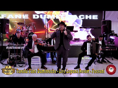 🔴NOU❌TARAFUL FANE DUMITRACHE ❌ STRAINATATEA ❌COLAJ MUZICA DE PETRECERE LAUTAREASCA BY STUDIO CRS