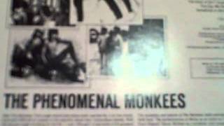 The Day We Fall In Love by The Monkees