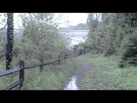 a little stronger - dew claw