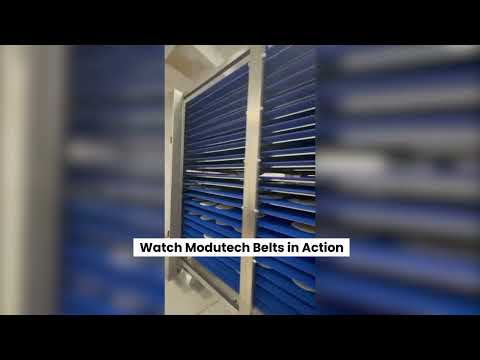 Tortilla Bread Production Lines