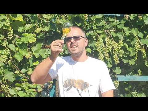 Kings of Mead odc.110 - Miód  pitny z kawą ....