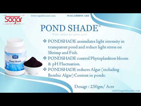 Sagar Pond Shade Water Colorant