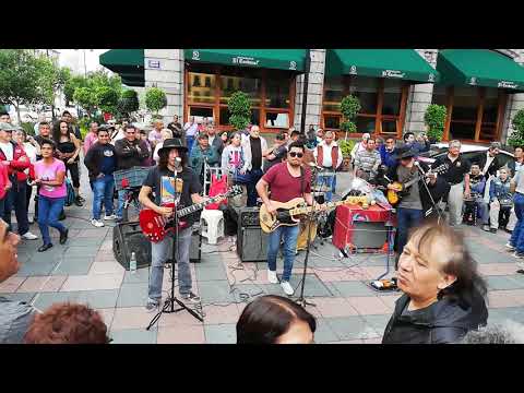 Los Bichos del Sótano - La Mujer de Negro