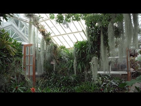 Planting Fields Arboretum Tour: Part 2 — Plant One On Me — Ep 080