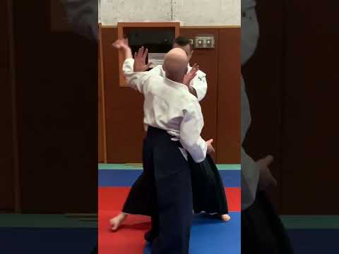 Alain BACCO, 6° Dan - Vacances Printemps 2023 n°2 - #aïkido #budo #artmartial #shorts