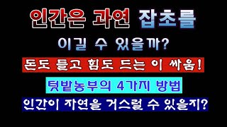 [텃밭농부 1,852]  잡초와의 전쟁에서 과연 인간이 이길 수 있을까? 텃밭농부가 사용하는 4가지 방법 소…