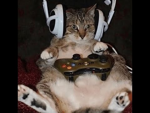 Solo Acquisition Hunter