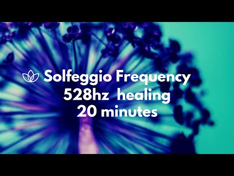 20 Minutes Self Care Music 528hz Healing Frequencies