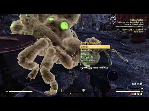 Fallout 76 Kill A Honey Beast Location