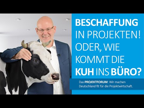 Beschaffung in Projekten 2 - Tools zur Entwicklung von Beschaffungsstrategien: Die Portfolio-Analyse