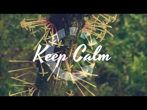 Dezine - Mirror - cover by Sean Rii (2016)