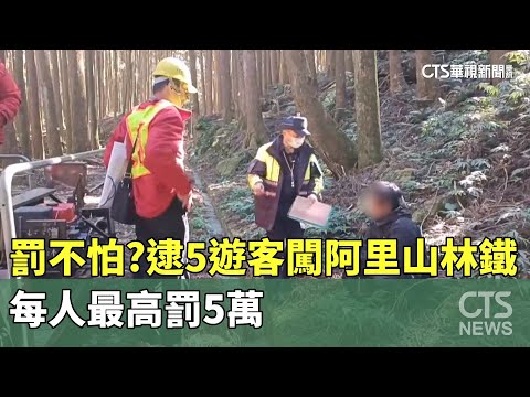罰不怕？又逮5遊客闖阿里山林鐵　每人最高罰5萬