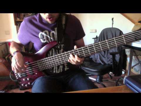 Tame Impala - Half Full Glass Of Wine (Bass Cover) [Pedro Zappa]