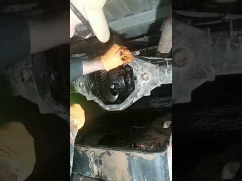 Fluid & Gasket Change Rear Differential