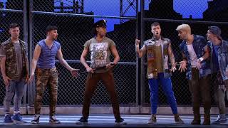 &quot;Gee, Officer Krupke&quot;: Adam Soniak and Jets - WEST SIDE STORY // Must Close June 2