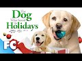 The Dog Who Saved The Holidays | Full Christmas Dog Movie | Christmas 2023 | FC