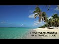 1 Hour Ocean Ambience On A Tropical Island With Soothing Waves ️ Nature Relaxation Sounds