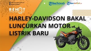 Harley-Davidson Bakal Luncurkan Motor Listrik Baru, Intip Bocoran LiveWire S2 Del Mar LE